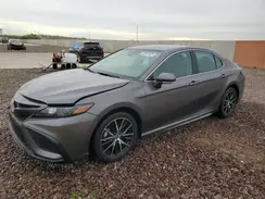 4T1G11AKXPU753423 2023 TOYOTA CAMRY