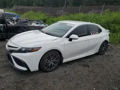 4T1G11AKXRU194796 2024 TOYOTA CAMRY