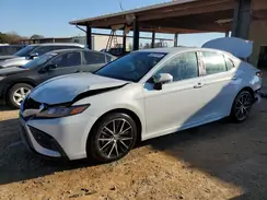 4T1G11AKXRU240529 2024 TOYOTA CAMRY