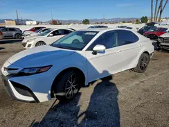 4T1G11AKXRU859812 2024 TOYOTA CAMRY