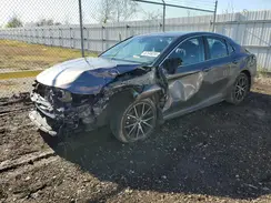 4T1G11AKXRU882720 2024 TOYOTA CAMRY