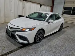 4T1G11AKXRU892468 2024 TOYOTA CAMRY
