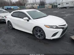 4T1G11BK0LU007913 2020 TOYOTA CAMRY