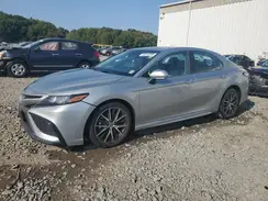 4T1G11BK0RU114159 2024 TOYOTA CAMRY