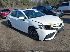 4T1G11BK1MU045202 2021 TOYOTA CAMRY