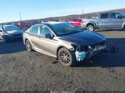 4T1G11BK2MU031258 2021 TOYOTA CAMRY