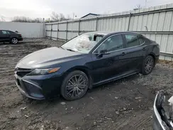 4T1G11BK3MU033455 2021 TOYOTA CAMRY