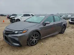4T1G11BK3PU101953 2023 TOYOTA CAMRY