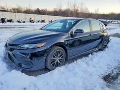 4T1G11BK3PU105453 2023 TOYOTA CAMRY