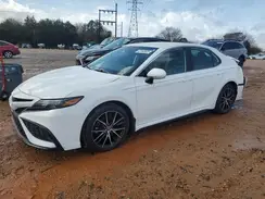 4T1G11BK3RU116584 2024 TOYOTA CAMRY