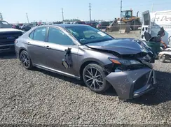 4T1G11BK4PU077050 2023 TOYOTA CAMRY