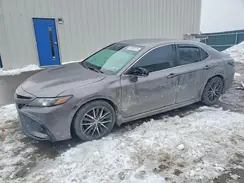 4T1G11BK4RU127142 2024 TOYOTA CAMRY