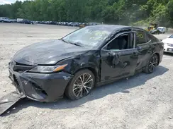 4T1G11BK5LU004196 2020 TOYOTA CAMRY