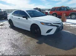 4T1G11BK6LU008838 2020 TOYOTA CAMRY