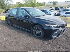 4T1G11BK8PU076516 2023 TOYOTA CAMRY