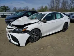 4T1G11BK8PU106517 2023 TOYOTA CAMRY
