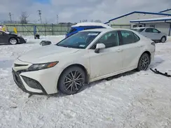 4T1G11BK8RU111381 2024 TOYOTA CAMRY