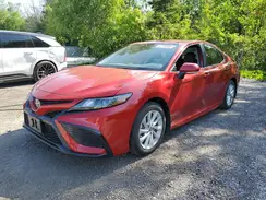 4T1G11BK8RU130254 2024 TOYOTA CAMRY