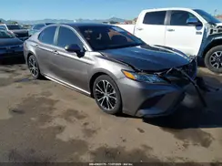 4T1G11BKXLU004260 2020 TOYOTA CAMRY