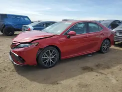 4T1G11BKXMU036305 2021 TOYOTA CAMRY