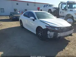 4T1G11BKXMU036952 2021 TOYOTA CAMRY