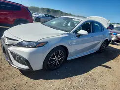 4T1G11BKXRU131034 2024 TOYOTA CAMRY
