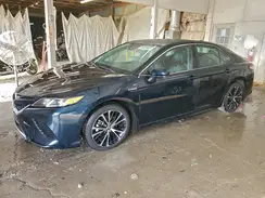 4T1G31AK0LU541506 2020 TOYOTA CAMRY