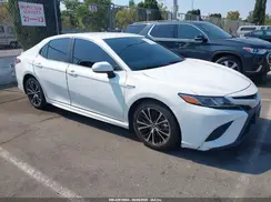 4T1G31AK0LU541702 2020 TOYOTA CAMRY