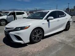 4T1G31AK0LU544230 2020 TOYOTA CAMRY