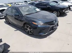 4T1G31AK0LU545359 2020 TOYOTA CAMRY