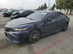 4T1G31AK0MU553091 2021 TOYOTA CAMRY