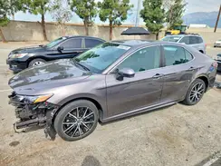 4T1G31AK0MU567802 2021 TOYOTA CAMRY