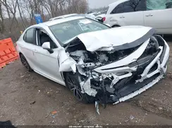 4T1G31AK0NU572032 2022 TOYOTA CAMRY