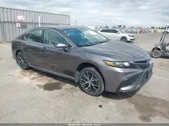 4T1G31AK0PU603363 2023 TOYOTA CAMRY