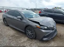 4T1G31AK0PU618820 2023 TOYOTA CAMRY