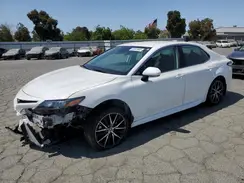 4T1G31AK0PU619658 2023 TOYOTA CAMRY