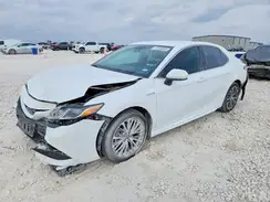 4T1G31AK1LU527534 2020 TOYOTA CAMRY