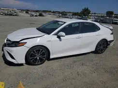 4T1G31AK1LU532796 2020 TOYOTA CAMRY
