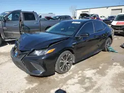 4T1G31AK1LU546231 2020 TOYOTA CAMRY