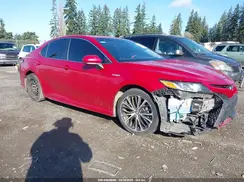 4T1G31AK2LU010260 2020 TOYOTA CAMRY