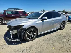 4T1G31AK2LU013112 2020 TOYOTA CAMRY