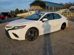 4T1G31AK2LU523105 2020 TOYOTA CAMRY
