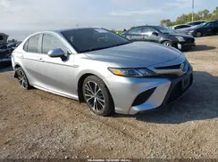 4T1G31AK2LU529325 2020 TOYOTA CAMRY