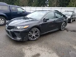4T1G31AK2LU529406 2020 TOYOTA CAMRY