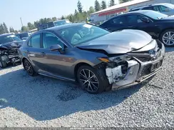 4T1G31AK2RU063646 2024 TOYOTA CAMRY