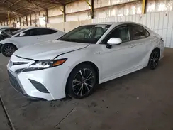4T1G31AK3LU013877 2020 TOYOTA CAMRY