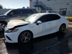 4T1G31AK3LU529124 2020 TOYOTA CAMRY
