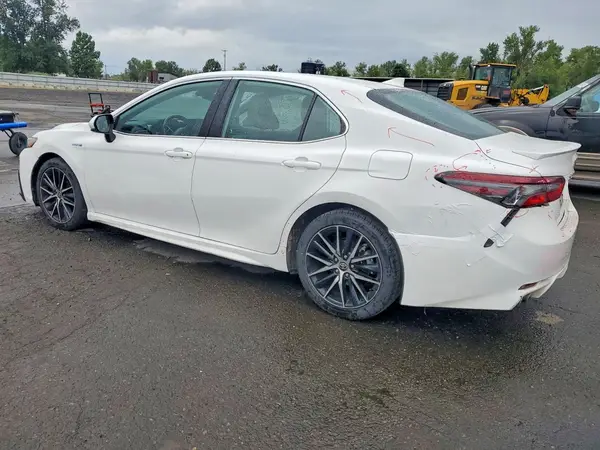 4T1G31AK3MU556826 2021 TOYOTA CAMRY - Image 2