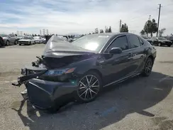 4T1G31AK3MU565865 2021 TOYOTA CAMRY