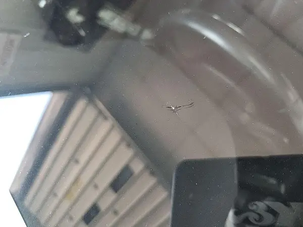 4T1G31AK3NU042525 2022 TOYOTA CAMRY - Image 1